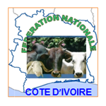 Côte d'ivoire